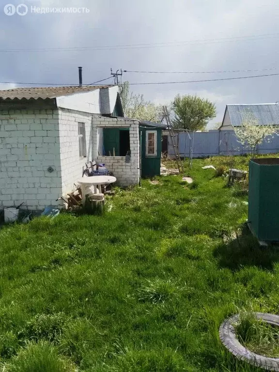 Дом в посёлок Новые Дарковичи, СДТ Болва, 348 (30 м) - Фото 0