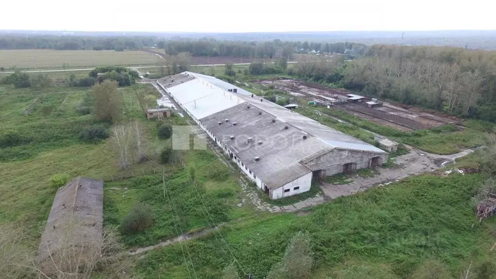 Производственное помещение в Новосибирская область, Новосибирский ... - Фото 1