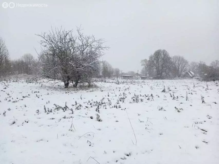 Участок в Волосовский район, Большеврудское сельское поселение, ... - Фото 0