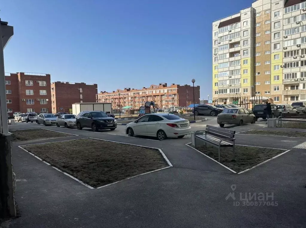 3-к кв. Самарская область, Тольятти Приморский бул., 61 (105.0 м) - Фото 2