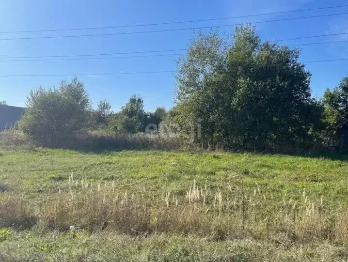 Участок в Владимирская область, Меленковский муниципальный округ, д. ... - Фото 1