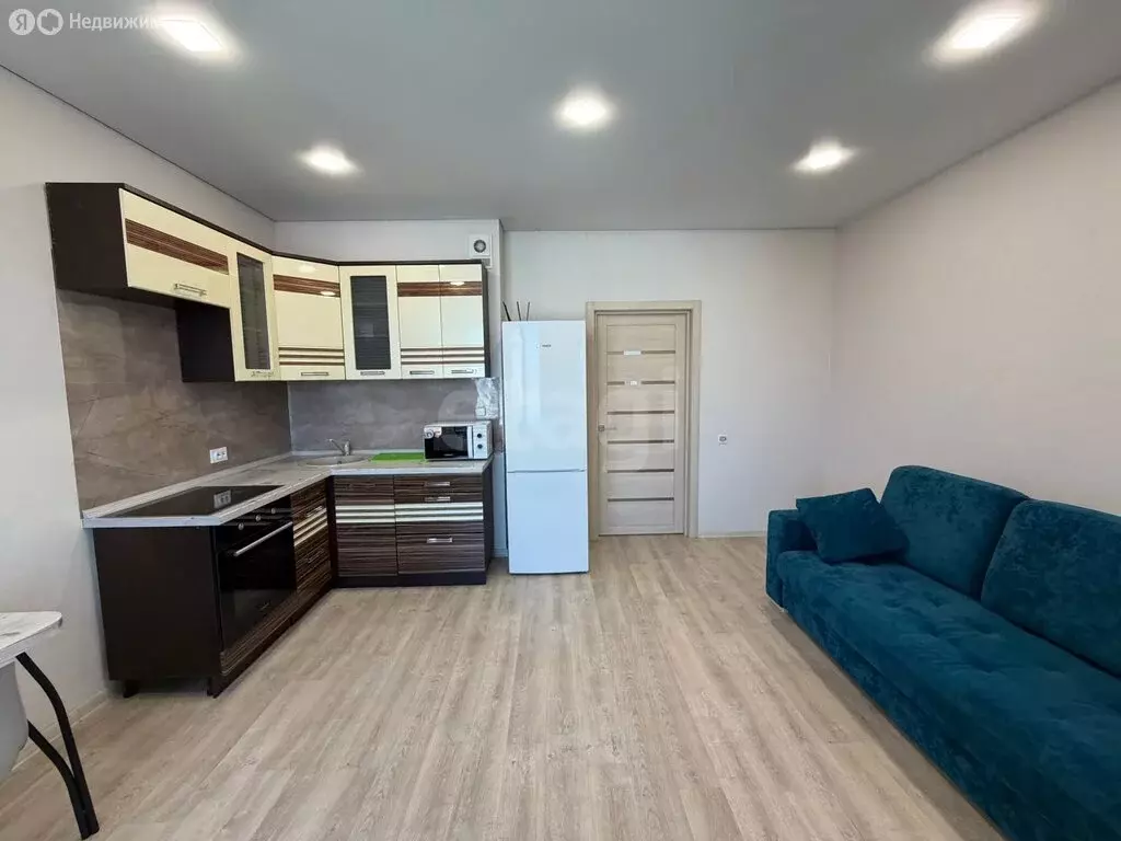 Квартира-студия: Абакан, улица Кирова, 206А (26.3 м) - Фото 2