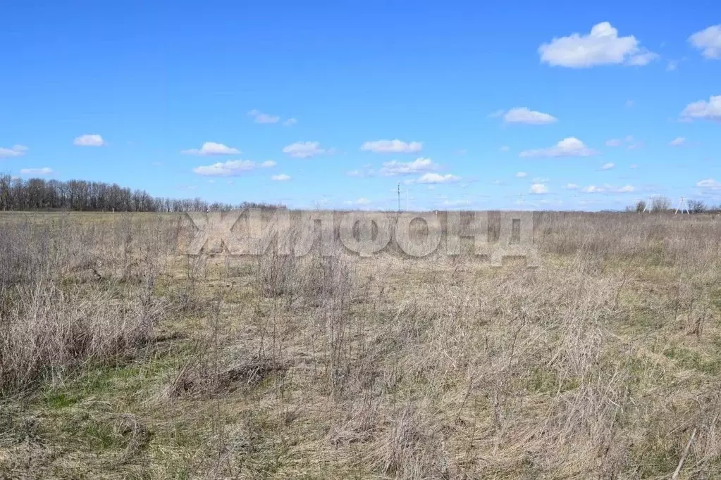 Участок в Белгородская область, Белгородский муниципальный округ, с. ... - Фото 2
