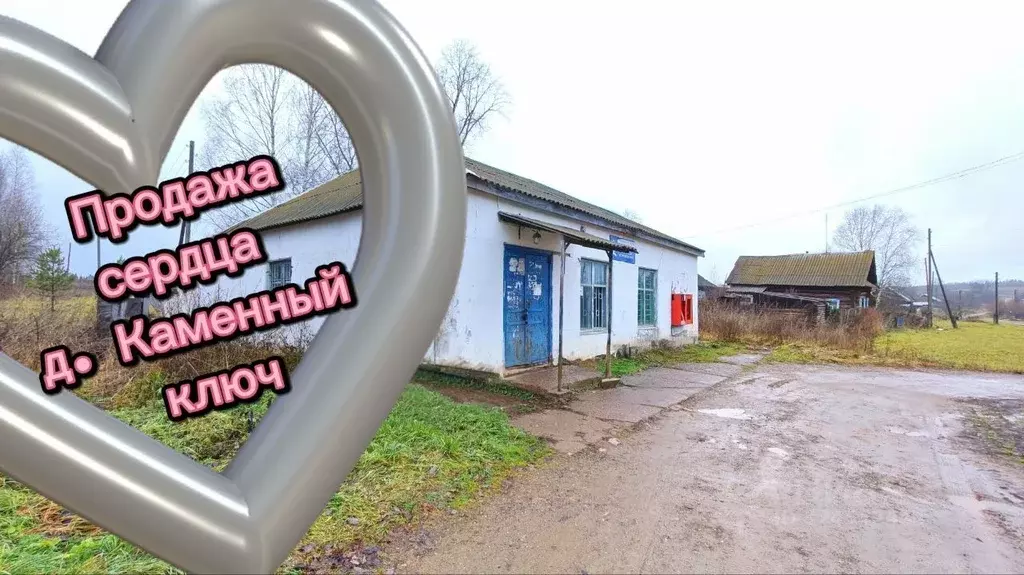 Торговая площадь в Пермский край, Чайковский городской округ, д. ... - Фото 1