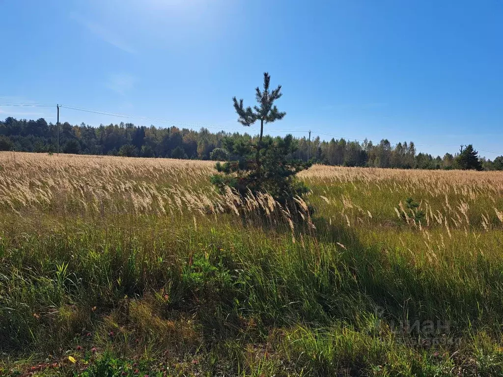 Участок в Московская область, Орехово-Зуевский городской округ, д. ... - Фото 0
