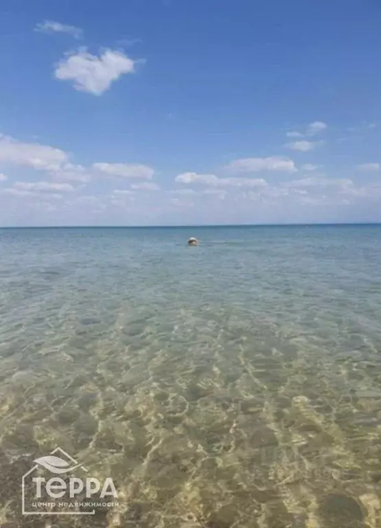Участок в Крым, Сакский район, Молочненское с/пос, с. Витино  (10.0 ... - Фото 2
