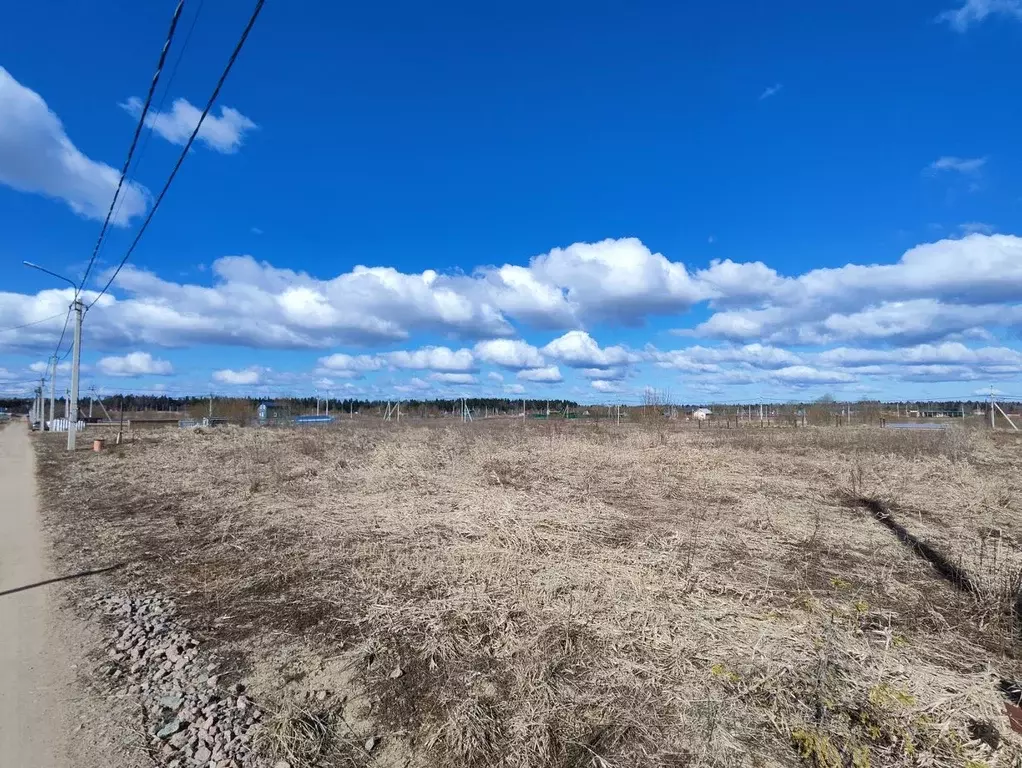 Участок в Ленинградская область, Ломоносовский район, Гостилицкое ... - Фото 0