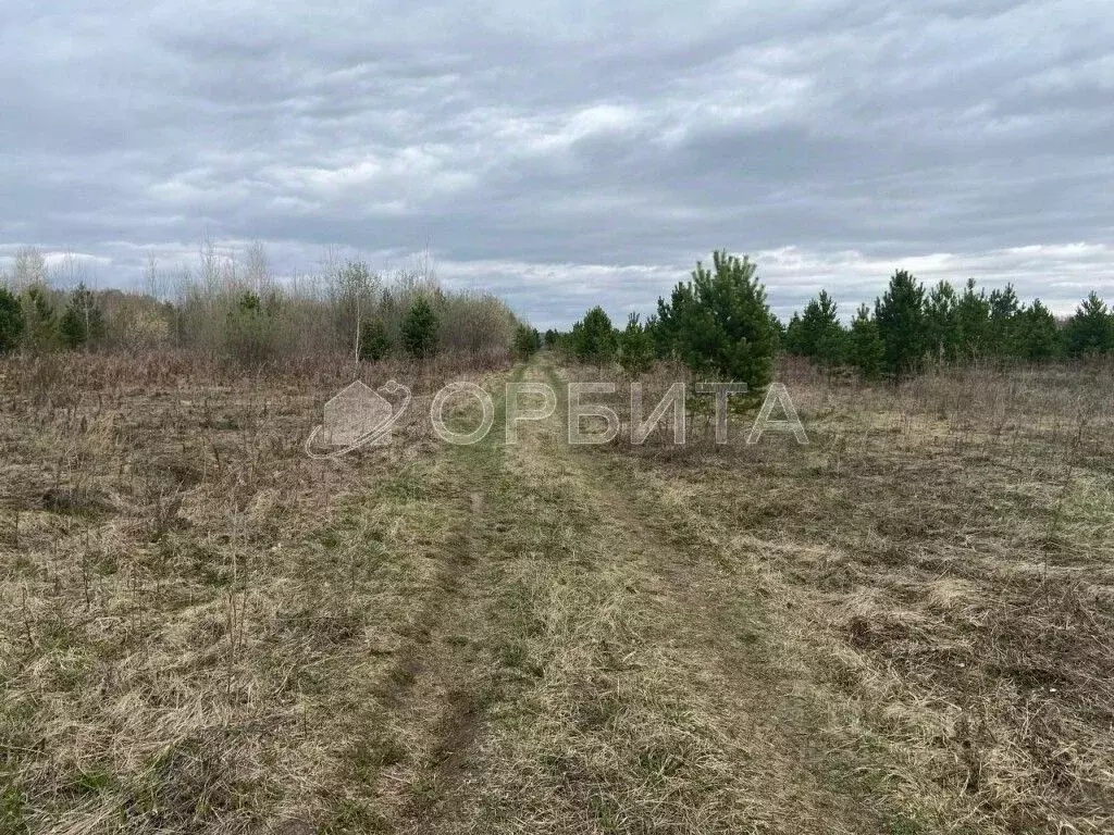 Участок в Тюменская область, Тюменский район, с. Горьковка  (9.65 ... - Фото 1