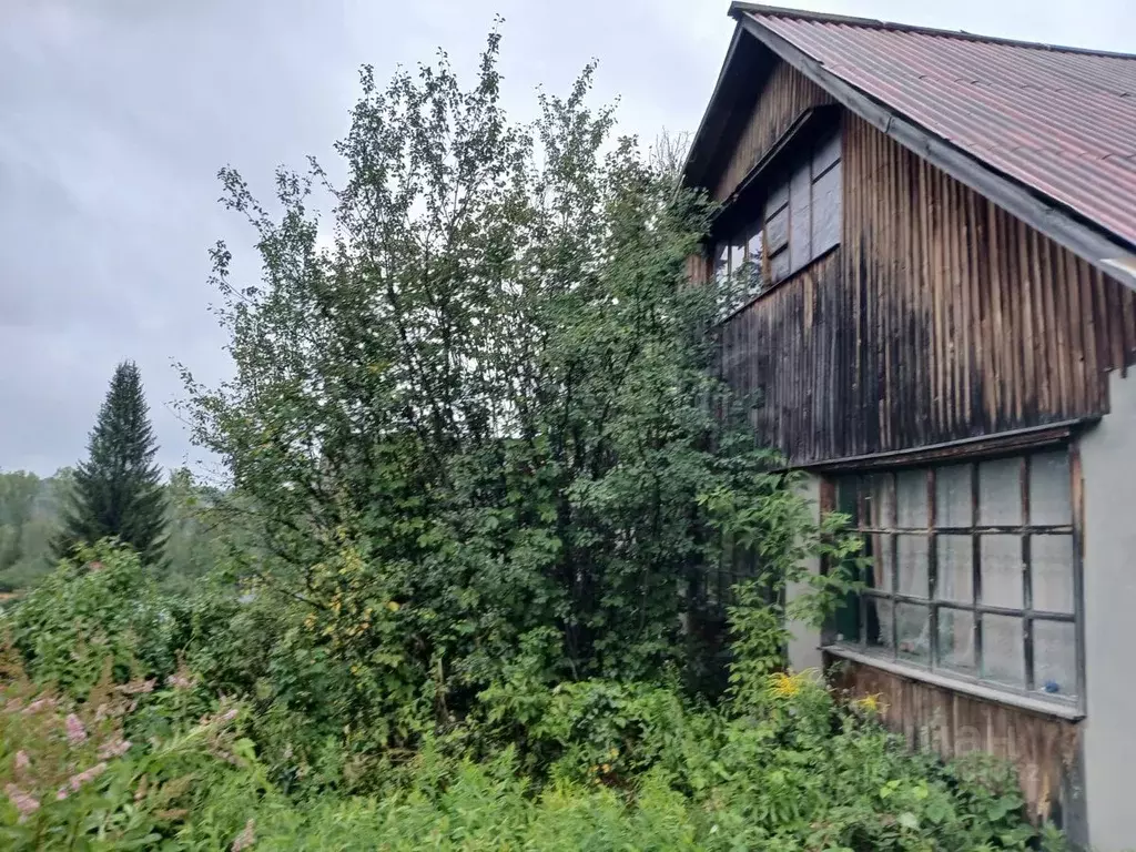 Участок в Новосибирская область, Новосибирский район, Барышевский ... - Фото 2