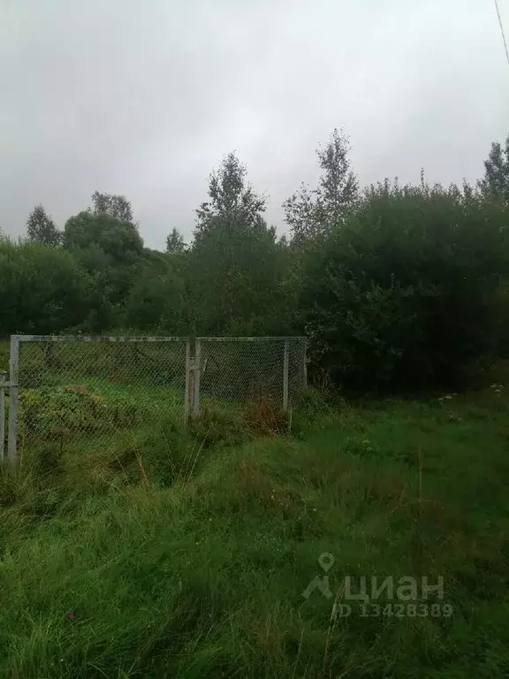 Участок в Новгородская область, Маловишерский район, Большевишерское ... - Фото 0