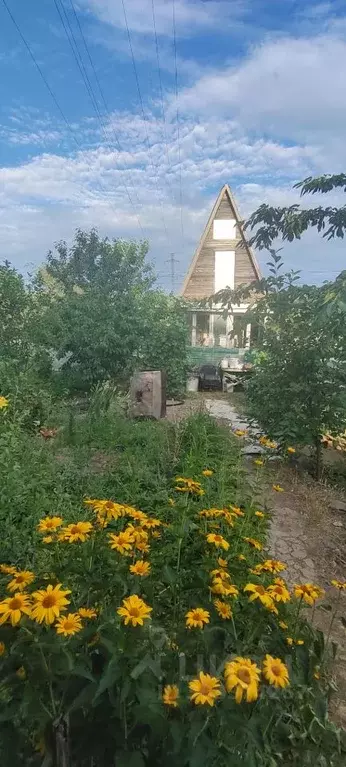 Дом в Волгоградская область, Волгоград ул. Плеханова (30 м) - Фото 0