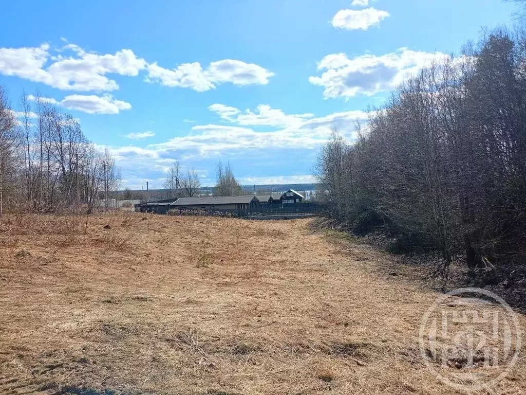 Участок в Ленинградская область, Приозерский район, пос. Мичуринское ... - Фото 2