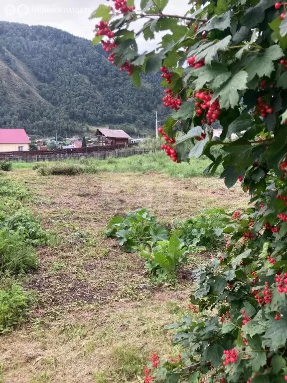 Участок в Шебалинский район, село Черга (20 м) - Фото 0