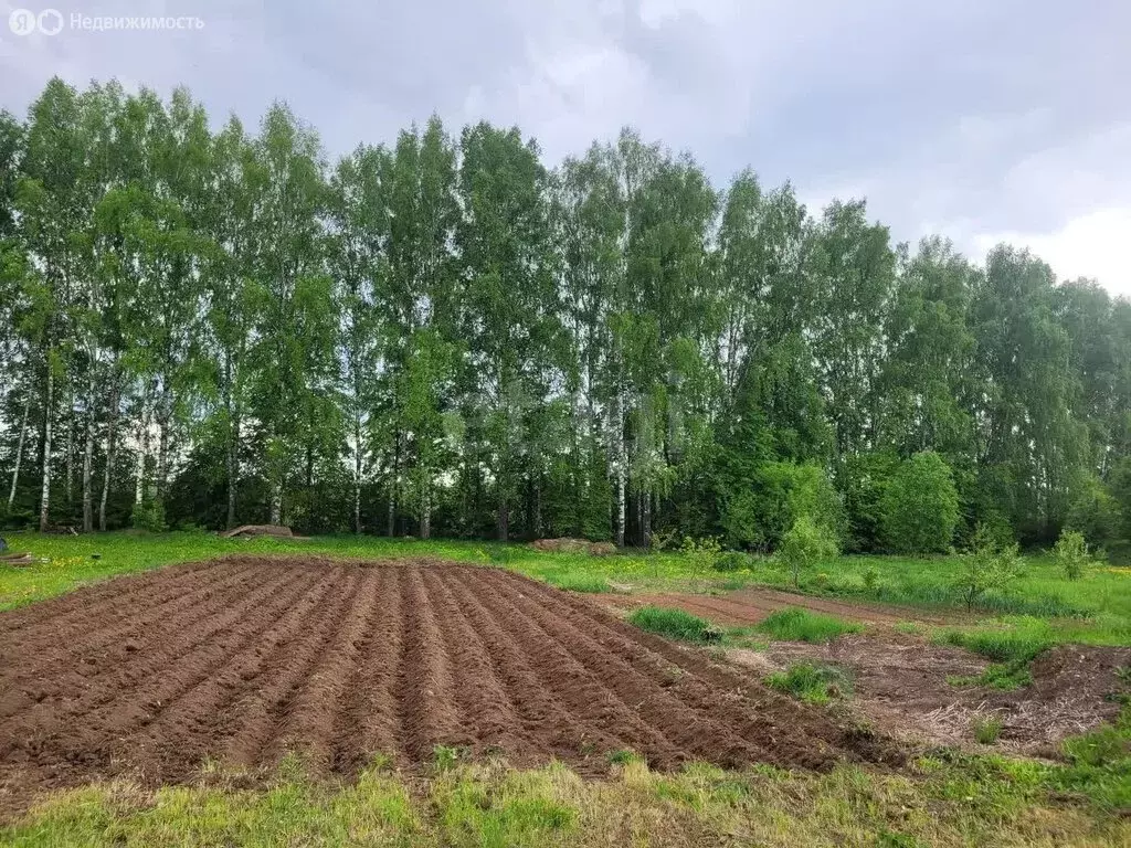 Участок в Медведевский район, Кузнецовское сельское поселение, деревня ... - Фото 0
