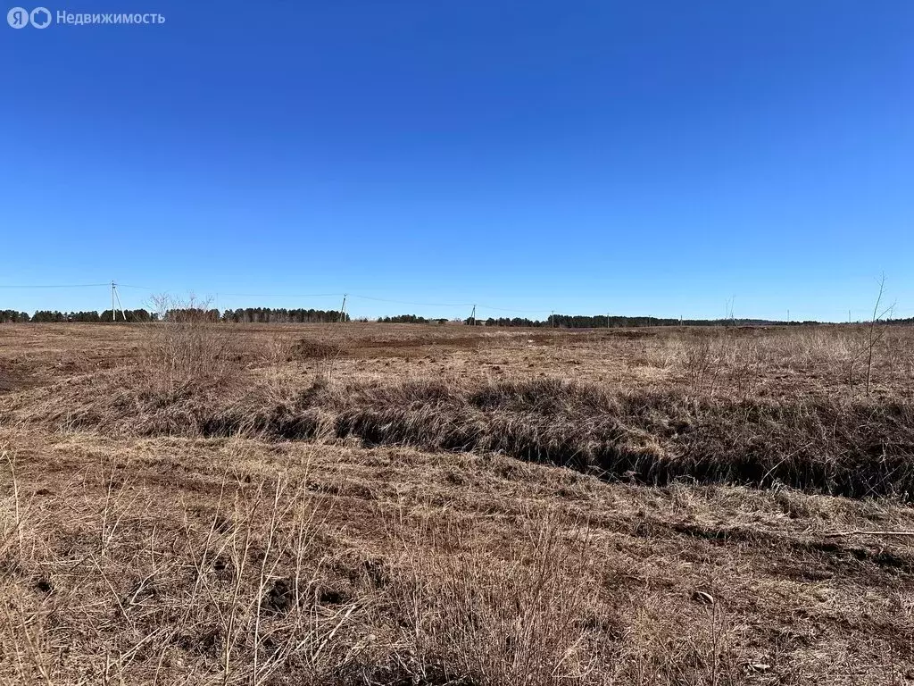 Участок в Иркутский муниципальный округ, деревня Позднякова (8 м) - Фото 1