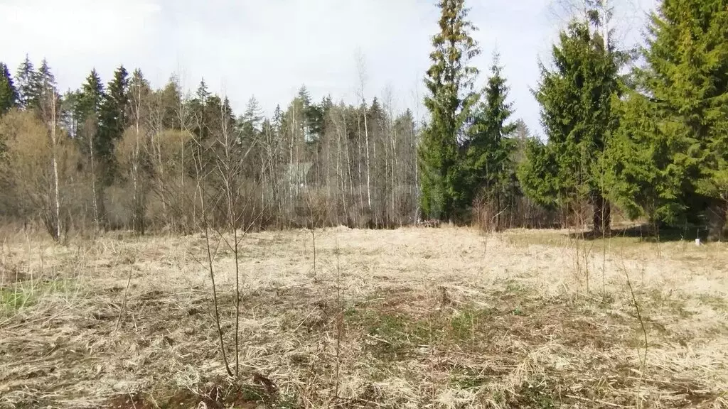 Участок в посёлок Пчёвжа, Узкоколейная улица (6 м) - Фото 1