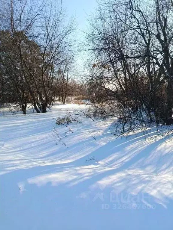 Участок в Амурская область, с. Ивановка ул. Высокая (19.2 сот.) - Фото 1