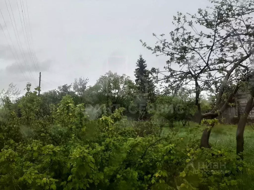 Участок в Тамбовская область, Тамбовский муниципальный округ, с. ... - Фото 2