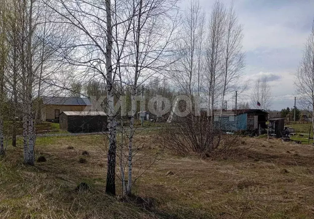 Участок в Новосибирская область, Новосибирский район, Барышевский ... - Фото 1