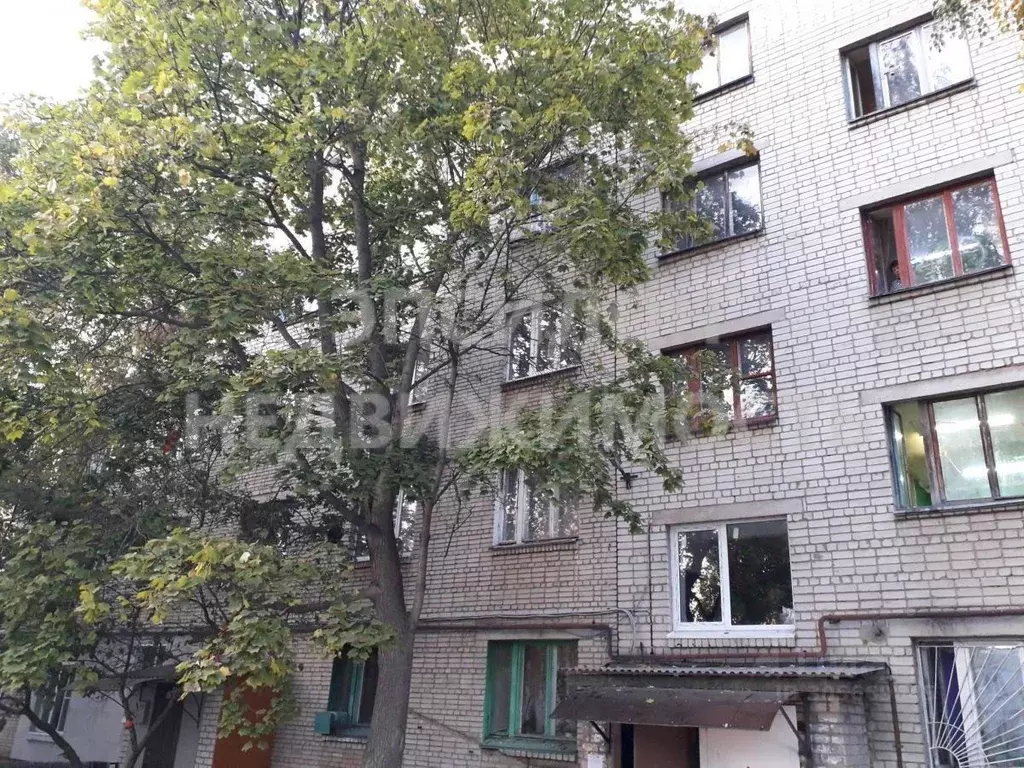 Комната Курская область, Курск Союзная ул., 73 (17.5 м) - Фото 0