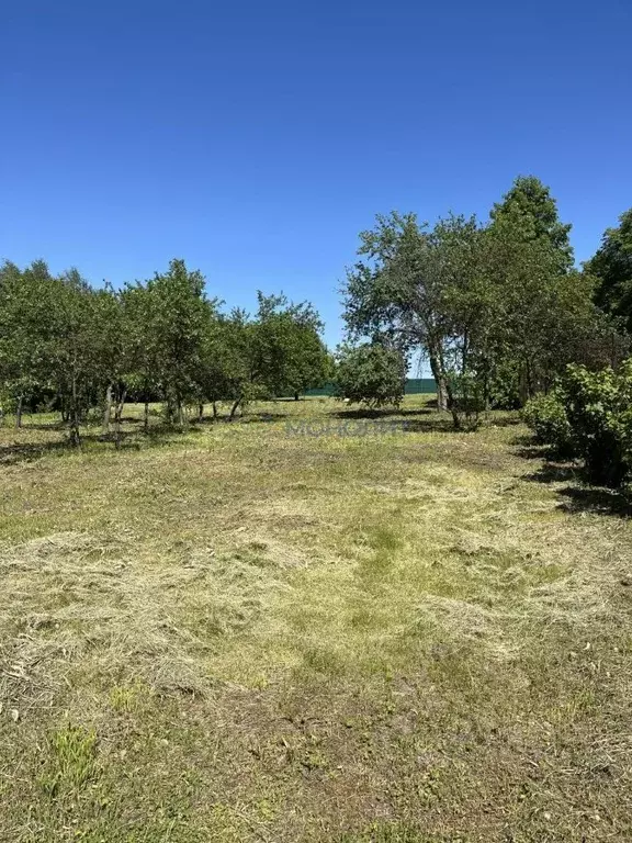 Участок в Нижегородская область, Дальнеконстантиновский муниципальный ... - Фото 2