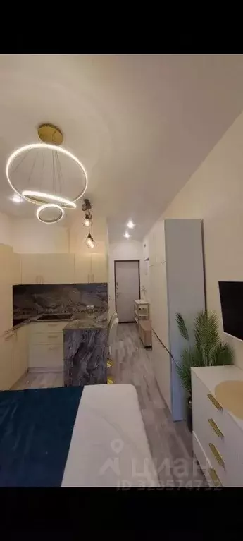 Студия Москва Березовая аллея, 19к2 (22.0 м) - Фото 2