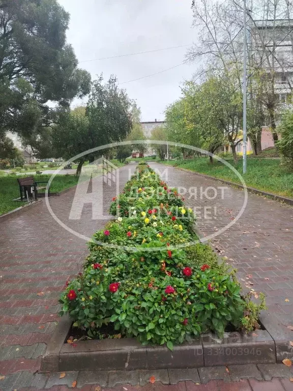2-к кв. Пермский край, Добрянка пер. Строителей, 3Б (45.5 м) - Фото 2
