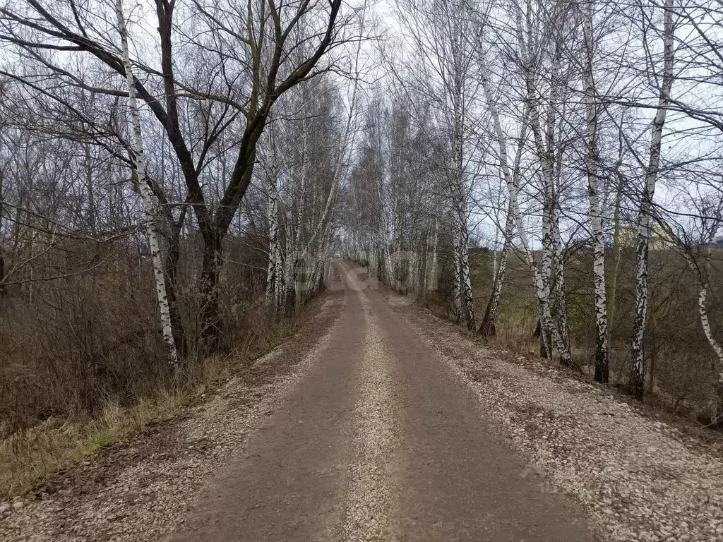 Участок в Тульская область, Болохово Киреевский район, пос. Южный,  ... - Фото 2