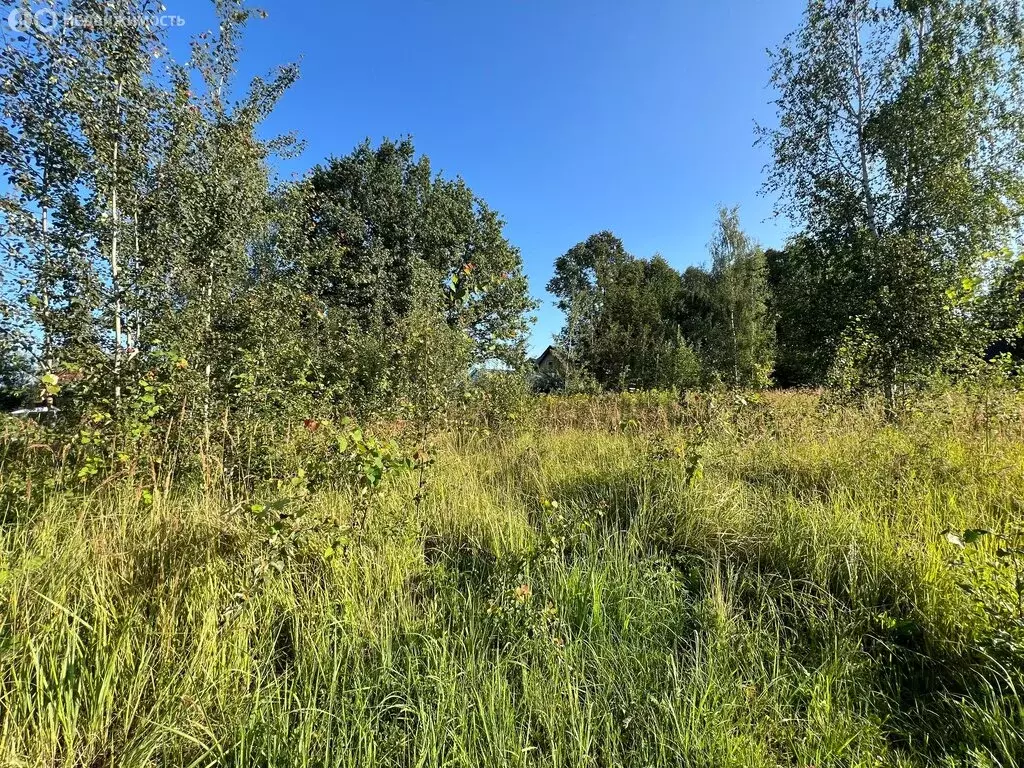 Участок в Калужская область, Жуковский муниципальный округ, сельское ... - Фото 2