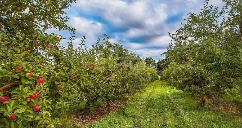 Участок в Тульская область, Тула  (2532.0 сот.) - Фото 2