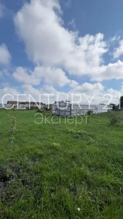 Участок в Калининградская область, Зеленоградский муниципальный округ, ... - Фото 1