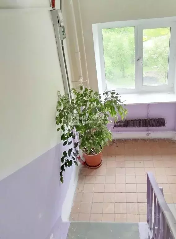 3-к кв. Московская область, Реутов ул. Некрасова, 10 (60.0 м) - Фото 1