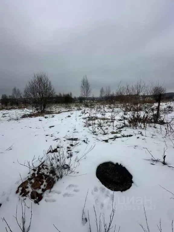 Участок в Владимирская область, Ковров ул. Центральная (9.6 сот.) - Фото 2