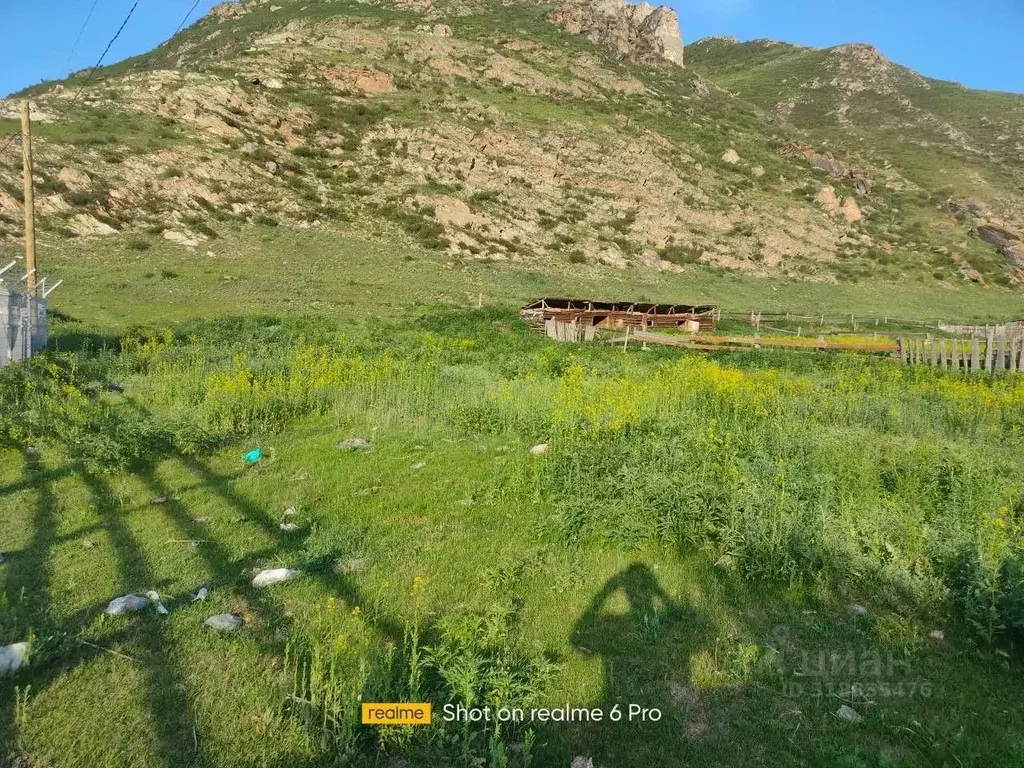 Участок в Алтай, Чемальский район, с. Куюс Центральная ул. (12.89 ... - Фото 1