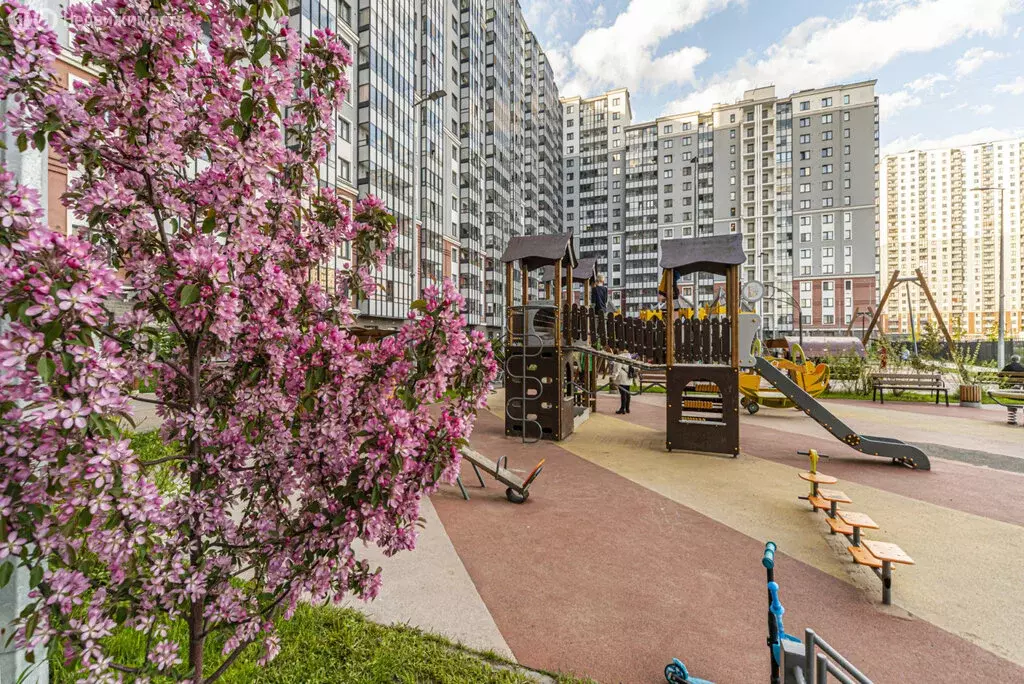 1-комнатная квартира: Санкт-Петербург, улица Дыбенко, 5к1 (33 м) - Фото 0