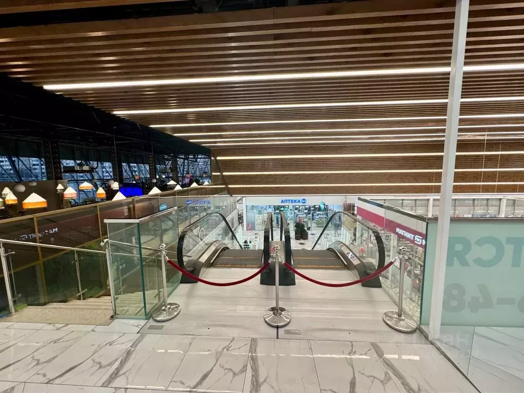 Торговая площадь в Санкт-Петербург Дунайский просп., 27к1 (100 м) - Фото 2