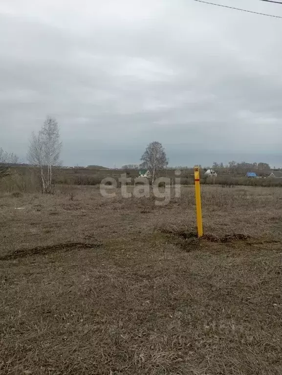 участок в новосибирская область, искитимский район, чернореченский . - Фото 0