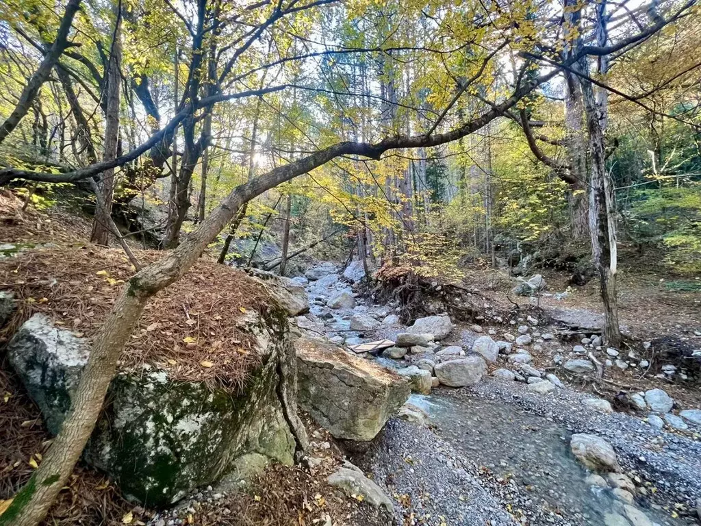 Участок в Крым, Ялта ул. Кирова (45.0 сот.) - Фото 1
