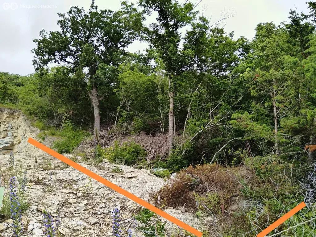 Участок в Краснодарский край, городской округ Новороссийск, село ... - Фото 1