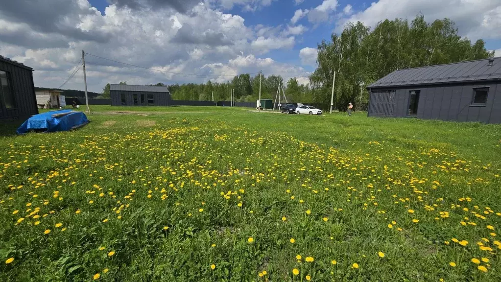 Участок в Московская область, Щелково городской округ, Воронок-3 тер. ... - Фото 2