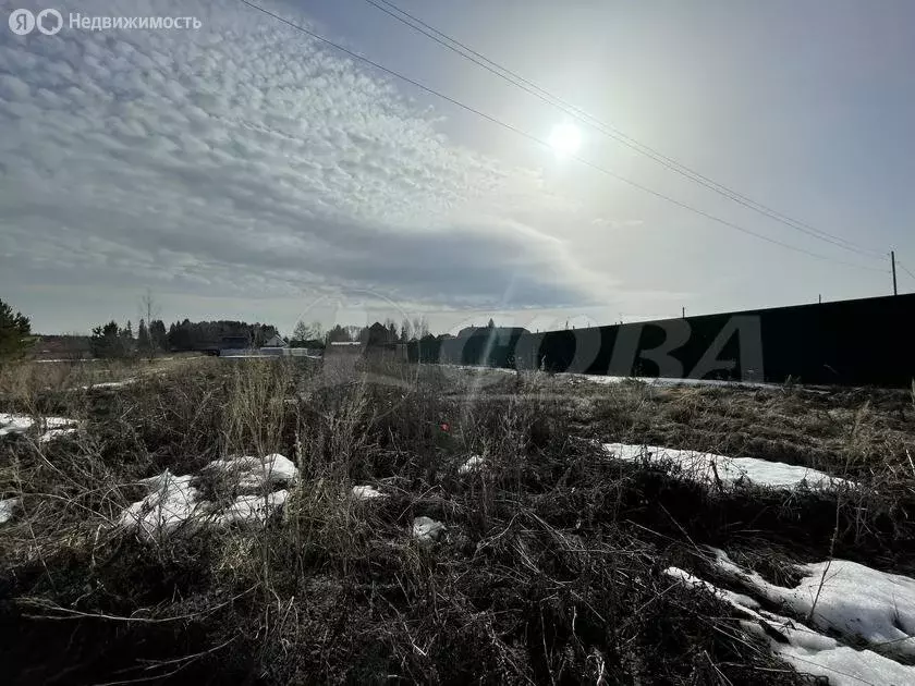 Участок в Тюменский район, деревня Чёрная Речка (10 м) - Фото 1