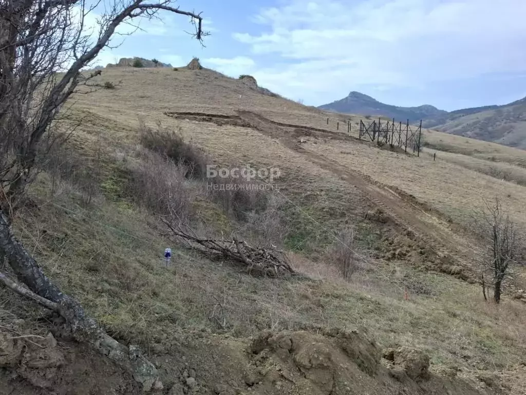 Участок в Крым, Феодосия городской округ, Курортное пгт ул. Науки (3.0 ... - Фото 1
