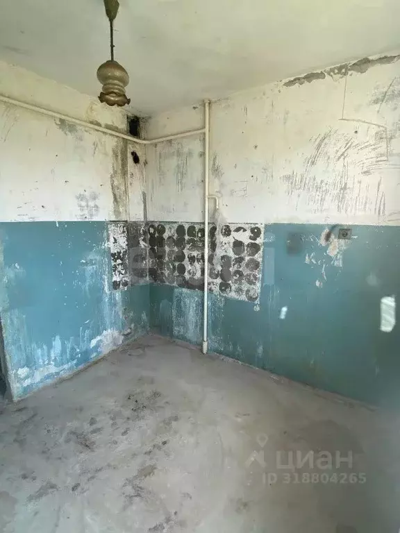 2-к кв. Брянская область, Брянск ул. Абашева, 8 (53.5 м) - Фото 1