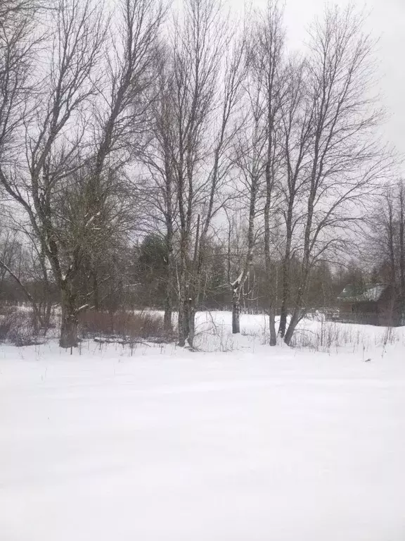 Дом в Костромская область, Костромской район, Кузьмищенское с/пос, д. ... - Фото 2