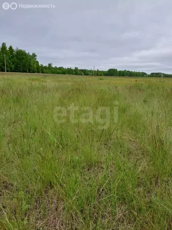 Участок в село Пушкино, улица Игоря Талькова (8 м) - Фото 2