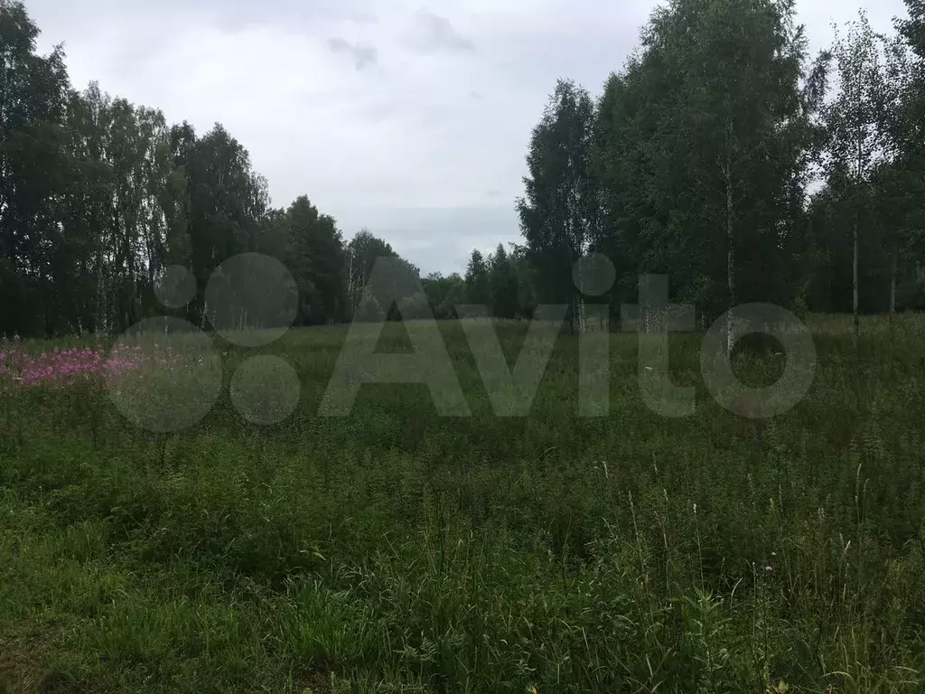 Участок 7,4 га (СНТ, ДНП) - Фото 1