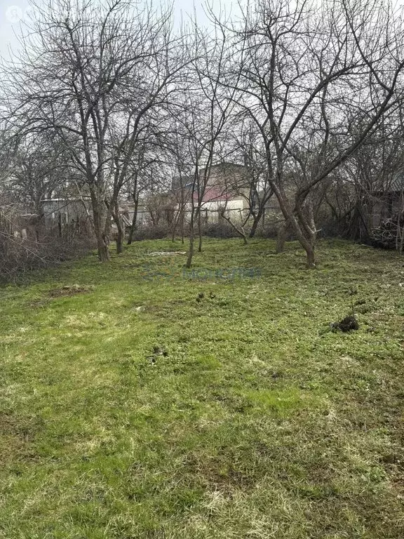 Участок в Бор, улица Рогуново, 19 (6.5 м) - Фото 1