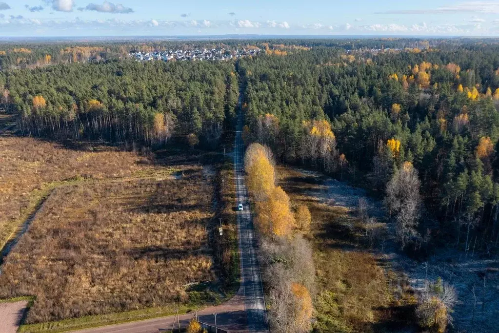 Участок в Ленинградская область, Приозерский район, Сосновское с/пос, ... - Фото 2