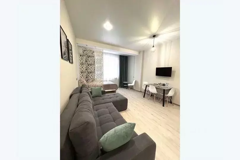 1-к кв. Краснодарский край, Сочи ул. Ленина, 290/7 (30.0 м) - Фото 0