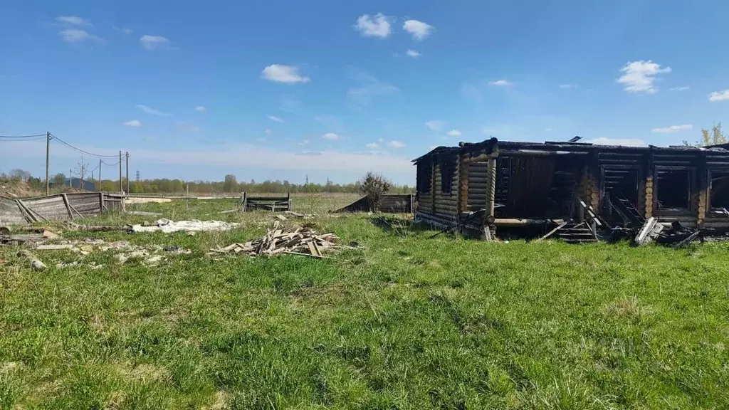 Участок в Ленинградская область, Гатчина Большая Загвоздка ... - Фото 1